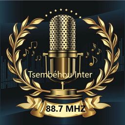 Website preview